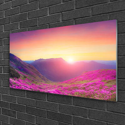 Plexiglas® Wall Art Sun mountain meadow nature yellow blue green pink