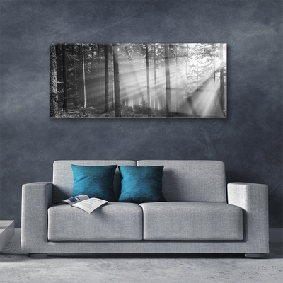 Plexiglas® Wall Art Forest nature grey