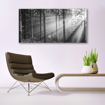 Plexiglas® Wall Art Forest nature grey