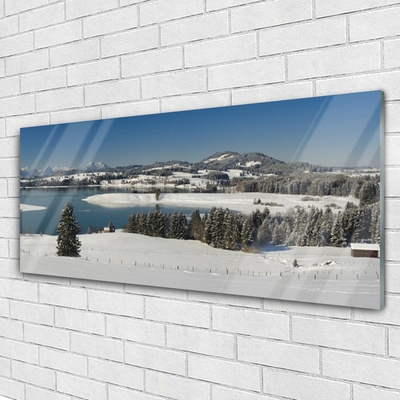 Plexiglas® Wall Art Snow lake forest landscape blue white green