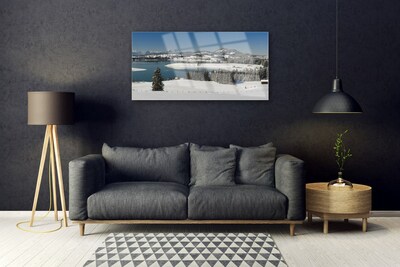 Plexiglas® Wall Art Snow lake forest landscape blue white green