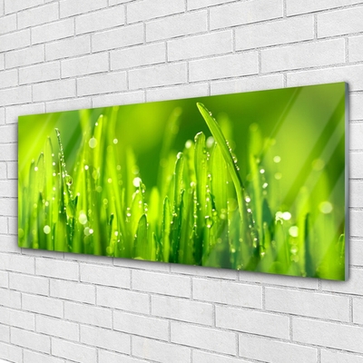 Plexiglas® Wall Art Weed nature green