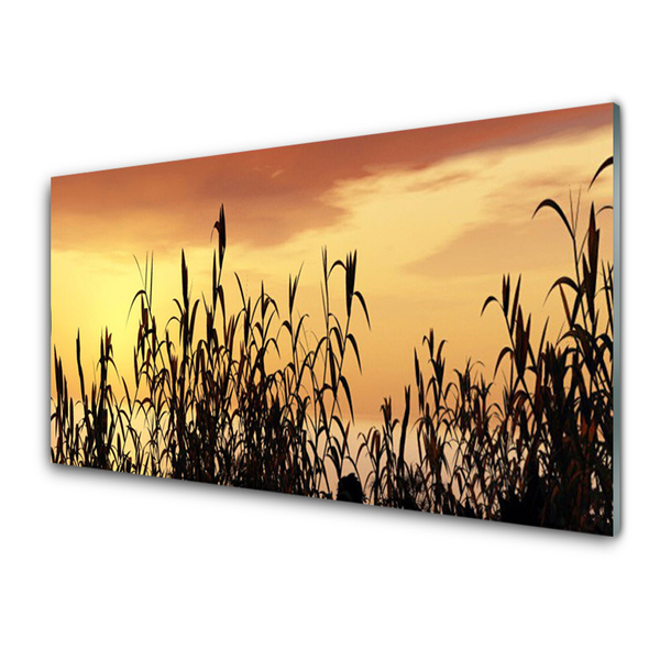 Plexiglas® Wall Art Leaves floral black