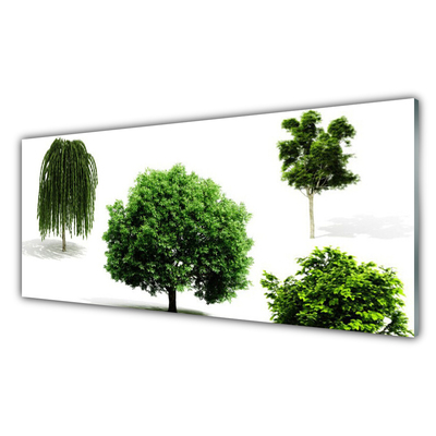 Plexiglas® Wall Art Trees nature brown green