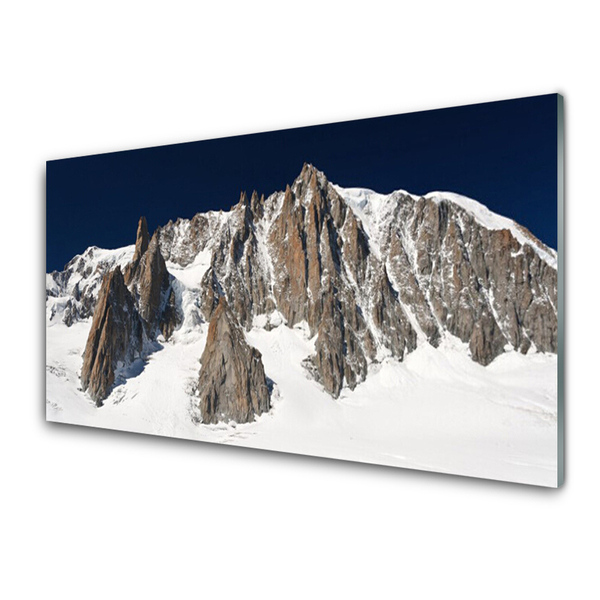 Plexiglas® Wall Art Mountain snow landscape white grey
