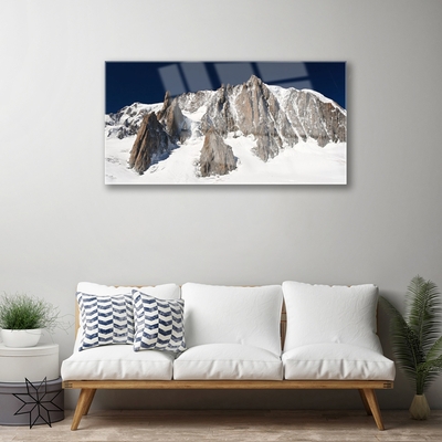Plexiglas® Wall Art Mountain snow landscape white grey