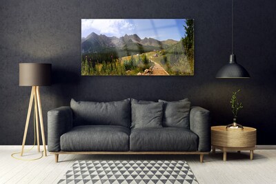 Plexiglas® Wall Art Mountain forest nature grey green