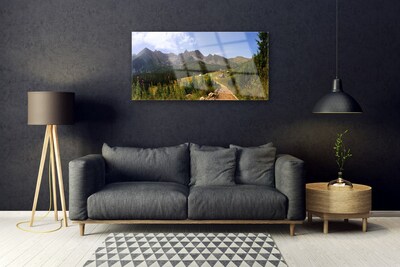Plexiglas® Wall Art Mountain forest nature grey green