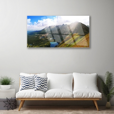 Plexiglas® Wall Art Mountain meadow landscape grey green