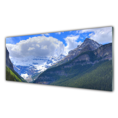 Plexiglas® Wall Art Mountains landscape grey blue white green