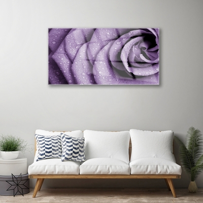 Plexiglas® Wall Art Rose floral purple