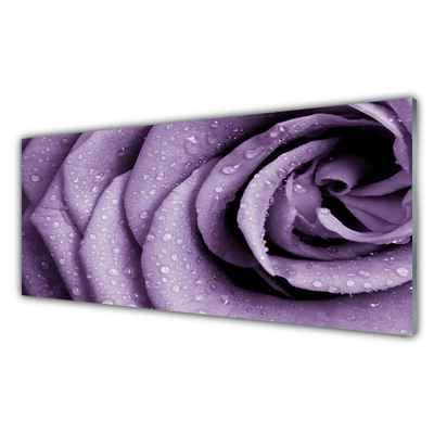 Plexiglas® Wall Art Rose floral purple