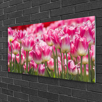 Plexiglas® Wall Art Tulips floral green white red