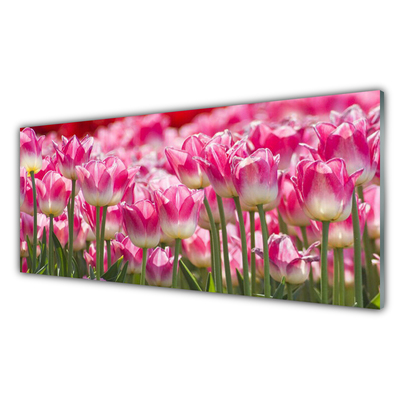 Plexiglas® Wall Art Tulips floral green white red