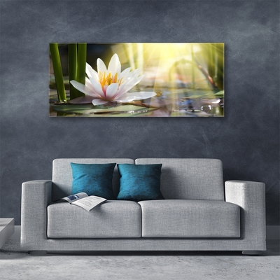 Plexiglas® Wall Art Flowers water floral white green