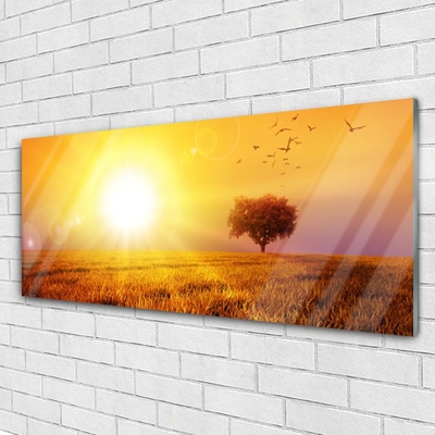 Plexiglas® Wall Art Sun meadow landscape yellow brown