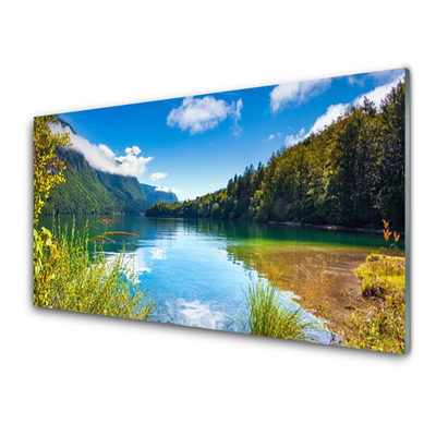 Plexiglas® Wall Art Mountain forest lake nature green blue