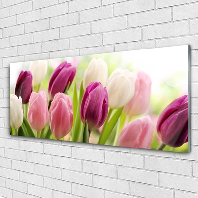 Plexiglas® Wall Art Tulips floral white red pink
