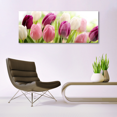 Plexiglas® Wall Art Tulips floral white red pink