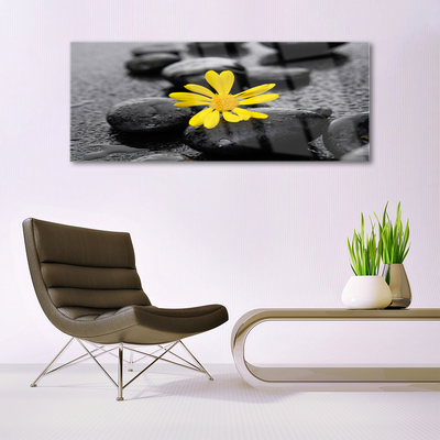 Plexiglas® Wall Art Flower stones art yellow black