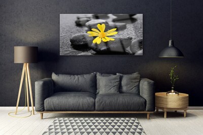 Plexiglas® Wall Art Flower stones art yellow black