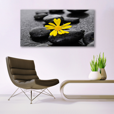 Plexiglas® Wall Art Flower stones art yellow black