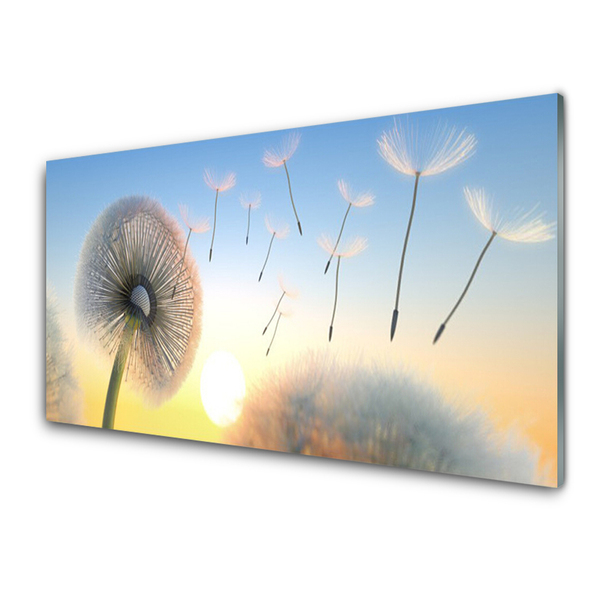 Plexiglas® Wall Art Dandelion floral white grey