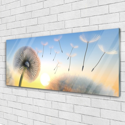 Plexiglas® Wall Art Dandelion floral white grey