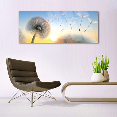 Plexiglas® Wall Art Dandelion floral white grey