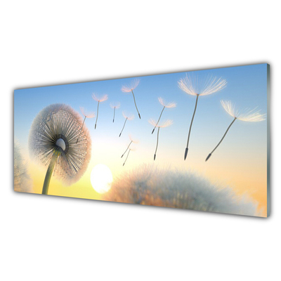 Plexiglas® Wall Art Dandelion floral white grey