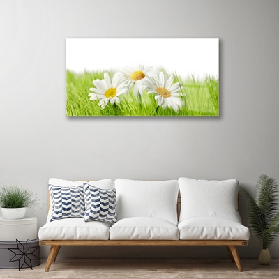 Plexiglas® Wall Art Grass daisies floral white green