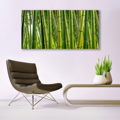 Plexiglas® Wall Art Bamboo stalks floral green