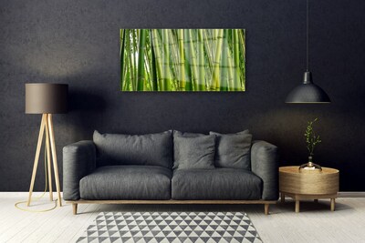 Plexiglas® Wall Art Bamboo stalks floral green