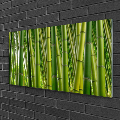 Plexiglas® Wall Art Bamboo stalks floral green