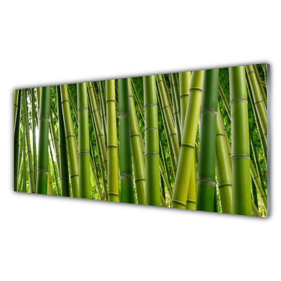 Plexiglas® Wall Art Bamboo stalks floral green