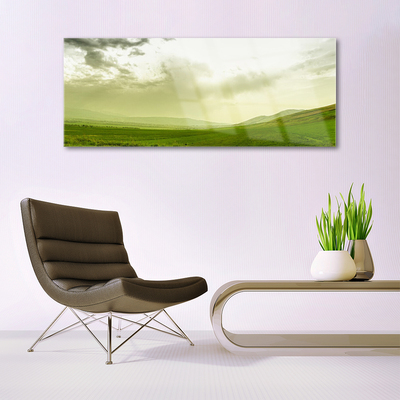 Plexiglas® Wall Art Meadow nature green