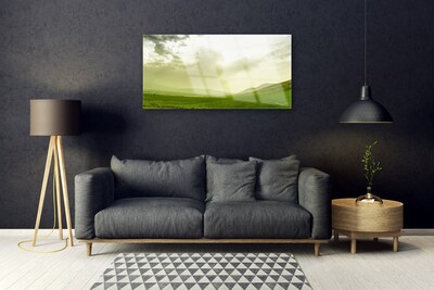Plexiglas® Wall Art Meadow nature green