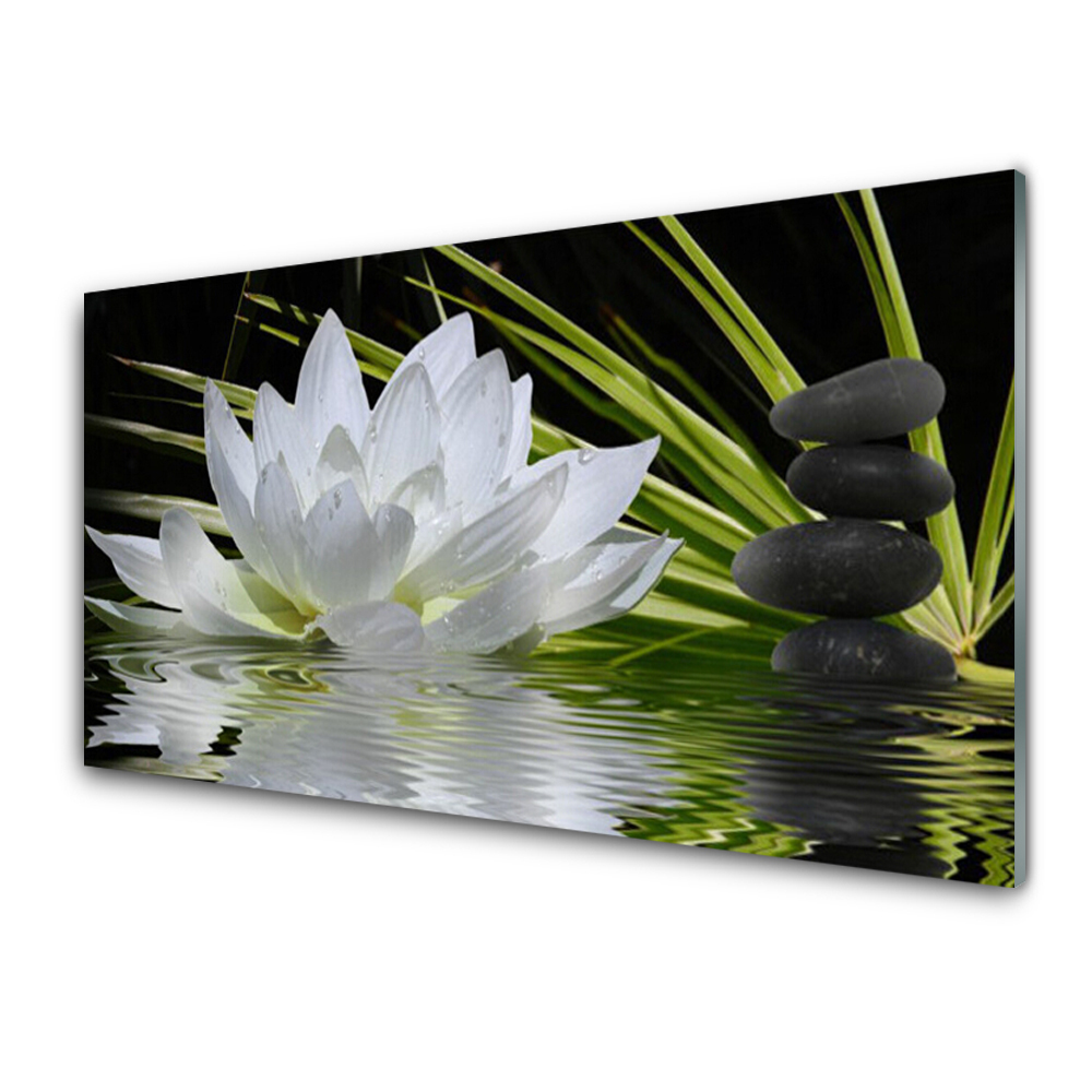 Plexiglas® Wall Art Flower stones water floral white black