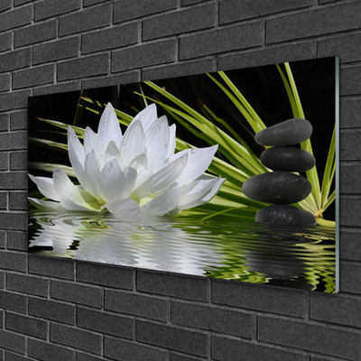 Plexiglas® Wall Art Flower stones water floral white black