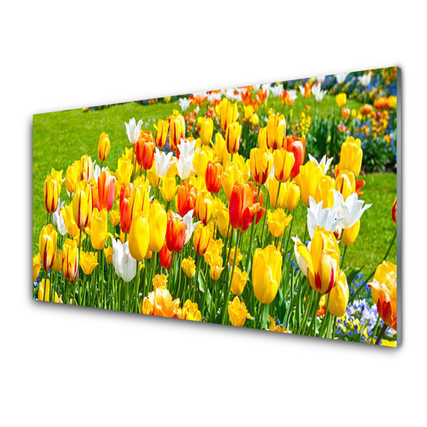 Plexiglas® Wall Art Tulips floral yellow red white