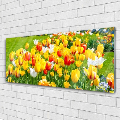 Plexiglas® Wall Art Tulips floral yellow red white