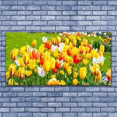 Plexiglas® Wall Art Tulips floral yellow red white