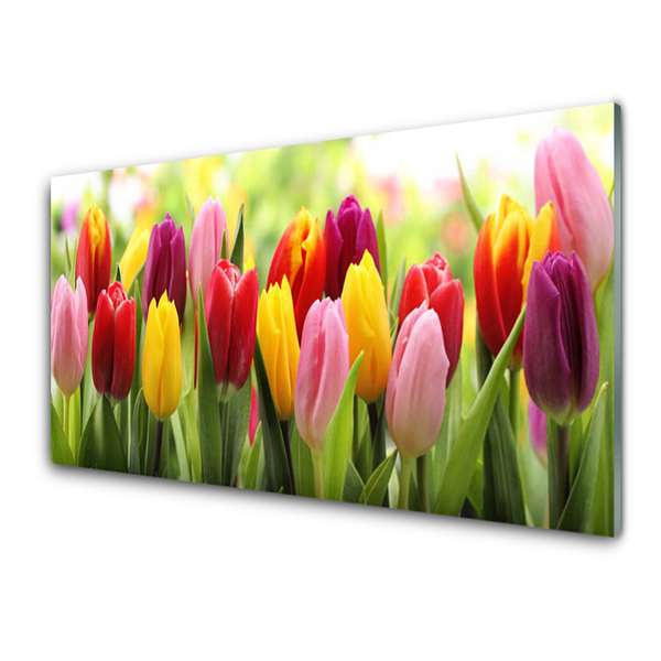 Plexiglas® Wall Art Tulips floral pink red yellow