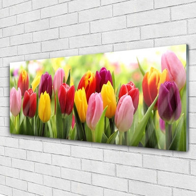 Plexiglas® Wall Art Tulips floral pink red yellow