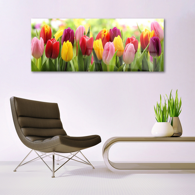 Plexiglas® Wall Art Tulips floral pink red yellow