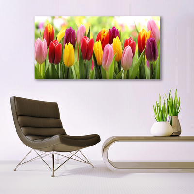 Plexiglas® Wall Art Tulips floral pink red yellow