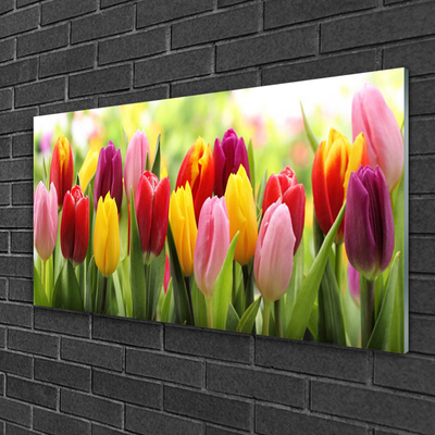 Plexiglas® Wall Art Tulips floral pink red yellow