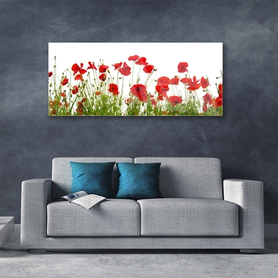 Plexiglas® Wall Art Poppies floral red green