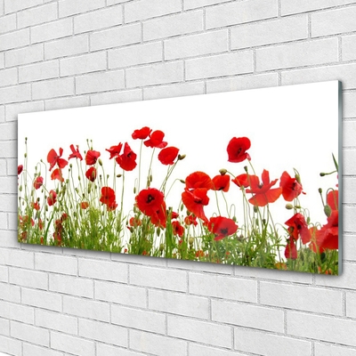 Plexiglas® Wall Art Poppies floral red green