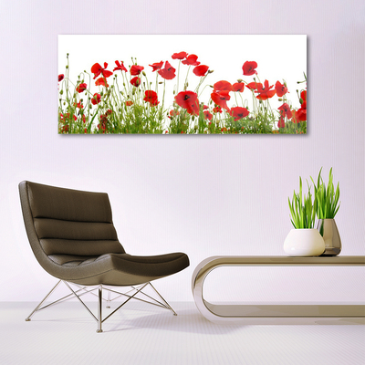 Plexiglas® Wall Art Poppies floral red green